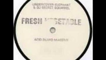 Undercover Elephant and Secret Squirrel – Acid Beard Massive