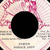 Horace Andy – Curfew Dub – 7 Ujama 1984 – KILLER DIGI ROOTS 80S DANCEHALL