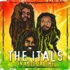 The Itals – Dont Wake The Lion