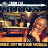 horace andy meets mad professor _for me