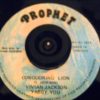 CONQUERING LION – YABBY YOU