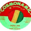 Baby Hughie Cherry Tree