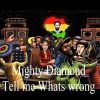 Mighty Diamonds – Tell me whats wrong
