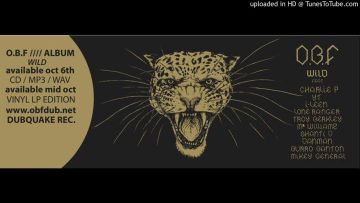 Obf Sound System – Kally Weed