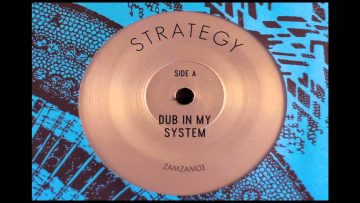 Strategy – Dub In My System Hardware Dub