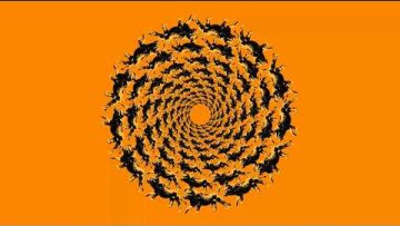 Vibronics and Parvez – Healing Of The Nation (Original Dub) [DUBJ001]
