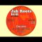 DISCIPLES – POSITIVE VIBRATION – JAH ROOTS HIFI RECORDS JRH12002A