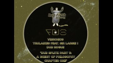Dub Flash DFR009 – Dub Splitz Part 5 – A Scent of Philosophy 1 – Critical