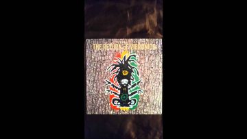 Vibronics Feat. Danman – Tribulation
