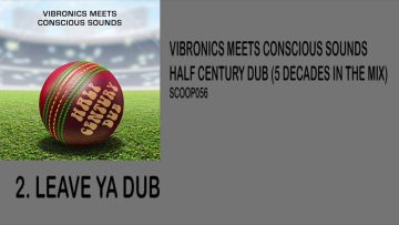 Vibronics meets Conscious Sounds – Leave Ya Dub