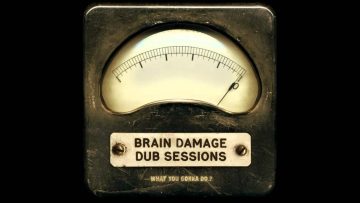 Brain Damage – Radical Plan Version