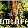 dubsalon – Multiverse (Rough Mix)