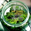 Mr. Zebre ft Rebel-I – Legal (original mix)