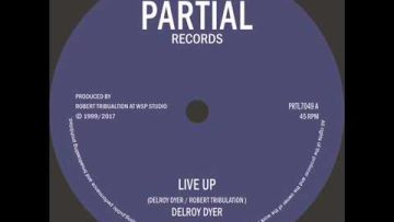 Delroy Dyer / WSP – Live Up – Partial Records 7 PRTL7049