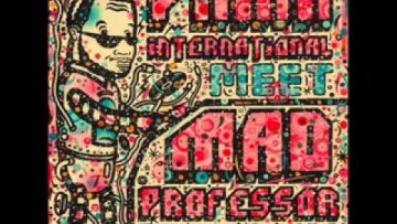 Disco Dub – Pama International meet Mad Professor