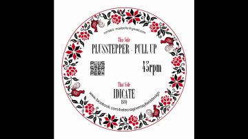Plusstepper Pull up Idicate DREADWISE MUSIC 7