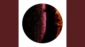 Transcending Space and Dub (Original Mix)