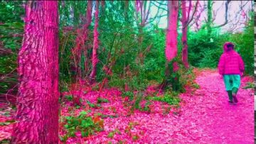 I-mitri – Ngoni Dub Part I and III (Official Video)