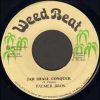 Palmer Brothers – Jah Shall Conquer