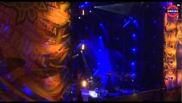 PRZYSTANEK WOODSTOCK 2010 – Rozpoczęcie, fragmenty koncertów Papa Roach, Nigel Kennedy i inni!