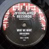 Dub Kazman ‎– What We Want (745RPM)