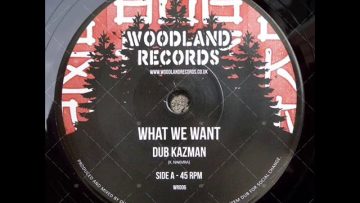 Dub Kazman ‎– What We Want (745RPM)