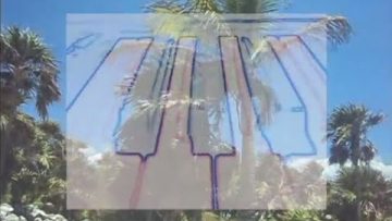 FAZE ISLAND /// Tropical Storm [Official Video]