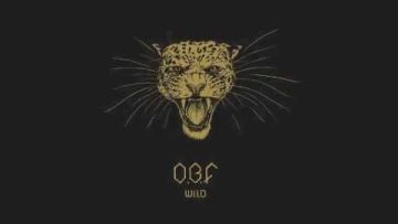 O.B.F feat TROY BERKLEY – BABYLON