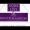 Aqua Livi and The RootsImansion – This Is A Warning (1999 Track1 Records)