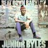 Junior Byles – A Place Called Africa – (Beat Down Babylon)