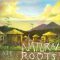 Natural Roots Stop Them Jah