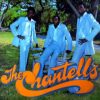 The Chantells – Hey You (Extended)