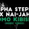 Alpha Steppa x Nai-Jah – Omo Kibish [Music Video] | Dub Reggae 2021 [Steppas]