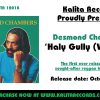 Desmond Chambers – Haly Gully (Version) (Official)