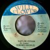 DANNY CLARKE DOBSONS DISCIPLES – Babylon trap them Babylon dub (1975 Wild flower)