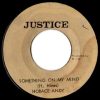 HORACE ANDY THE AGGROVATORS – Something on my mind version (1976 Justice)