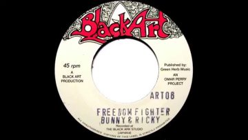 Bunny and Ricky – Freedom Fighter Dub