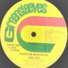 12inch – John Holt – Police In Helicopter – Greensleeves (120 ) 12inch classic