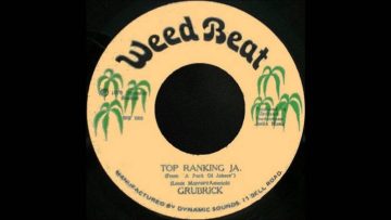 7 Grubrick – Top Ranking Ja (andDub)