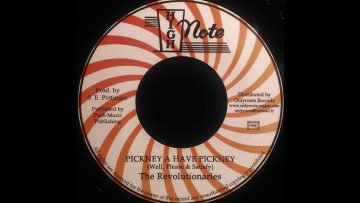WELL PLEASED and SATISFIED – Pickney A Have Pickney [1977]