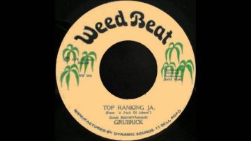 7 Grubrick – Top Ranking Ja (andDub)