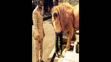 Little Ian Rock – Jah can count on I 7