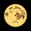 12 Horace Andy/Jah Shaka – Africa/Version