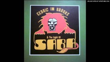 cedric im brooks and the light of saba – collie version
