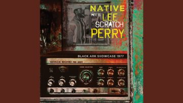 In a Strange Land (Dub Mix)