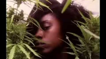 Jah Lion – Columbia Colly