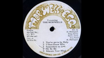 The Morwells – Bit by Bit