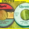 BETTER FUTURE FEATURE DUB ⬥Erol Walker and The Upsetters⬥