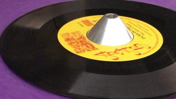 SKIN, FLESH and BONES ~ Dubs In THe City (AL BROWN ~ Aint No Love, B Side)