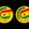 TE TRACK / ONLY JAH JAH KNOW / 1978 / 7